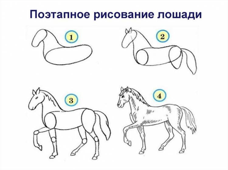 Рисунок коня поэтапно легко 