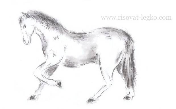 Как нарисовать лошадь поэтапно карандашом