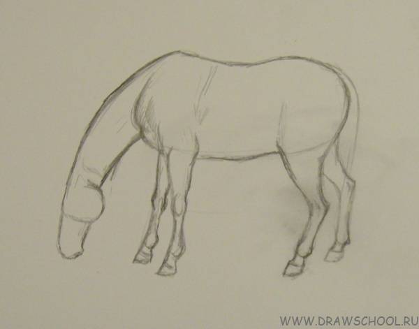 Как нарисовать лошадь цветными карандашами поэтапно