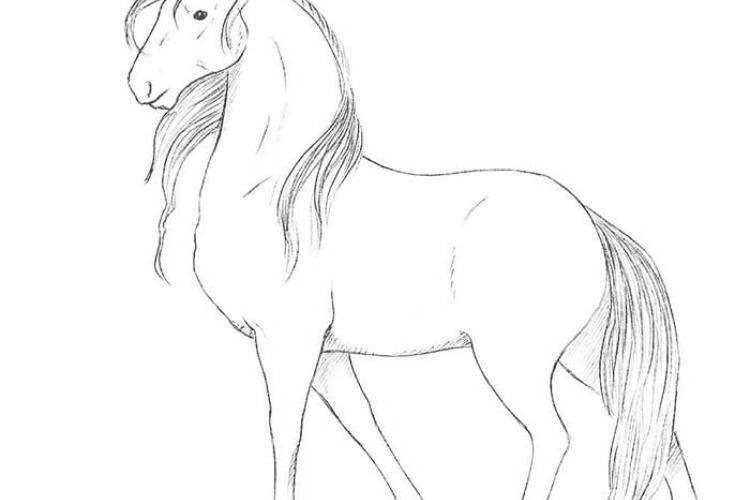 Как рисовать лошадей акварелью поэтапно