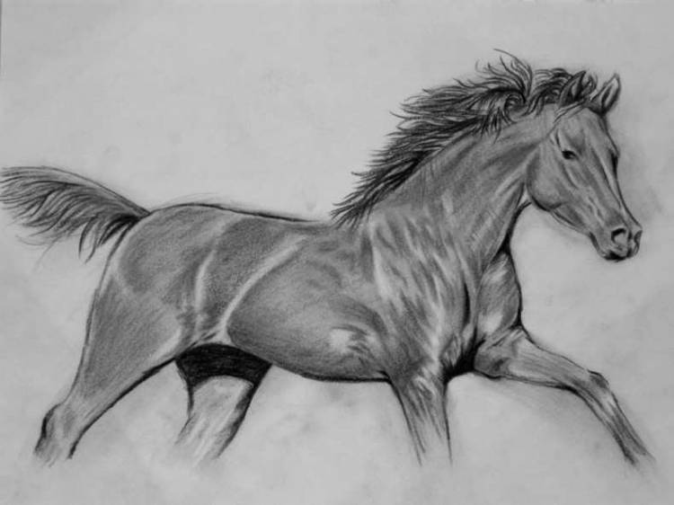Как нарисовать лошадь карандашом и красками