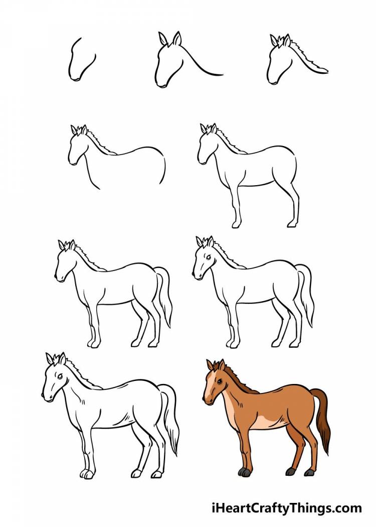 Рисунок лошадь пошагово