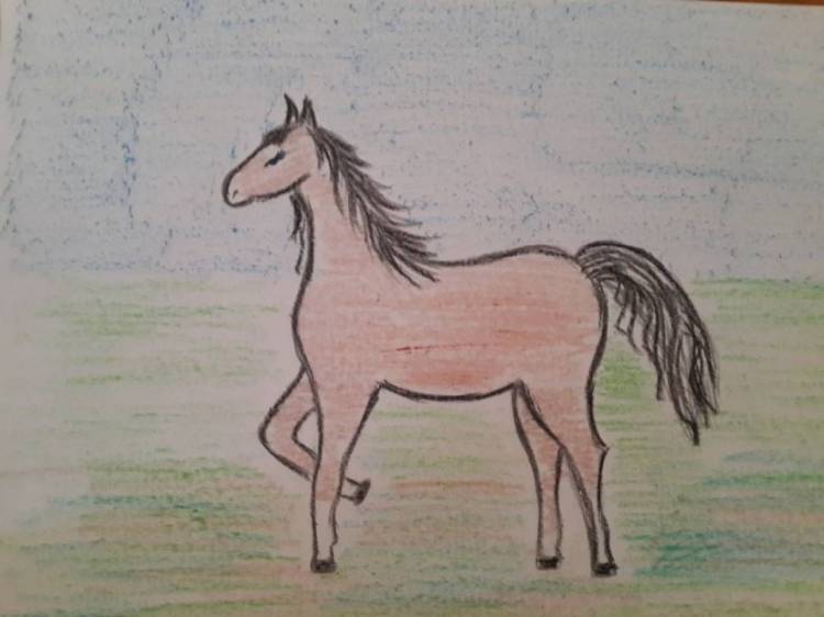 Мастер-класс «Рисование лошади поэтапно для детей подготовительной группы» 