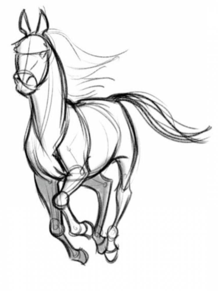 Лошадь рисунок карандашом легкий