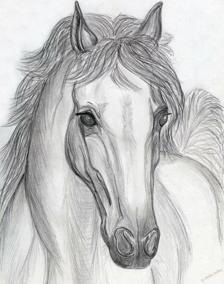 Картинки лошадей для срисовки