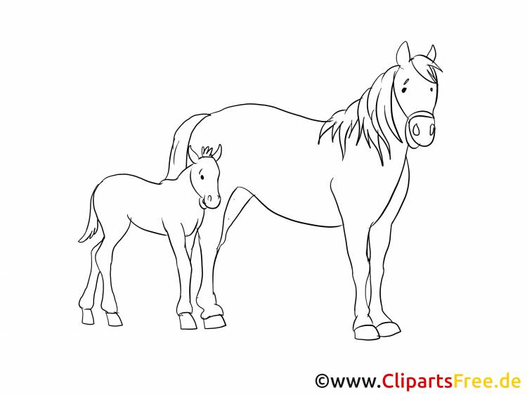 Рисунок лошади карандашом для срисовки поэтапно