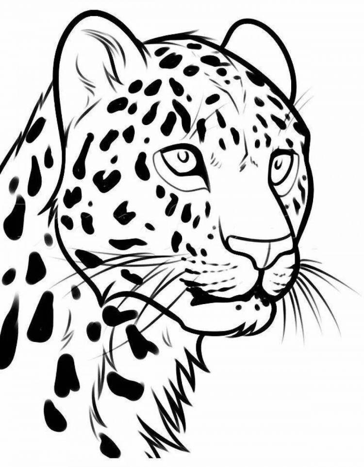 Нарисованный леопард