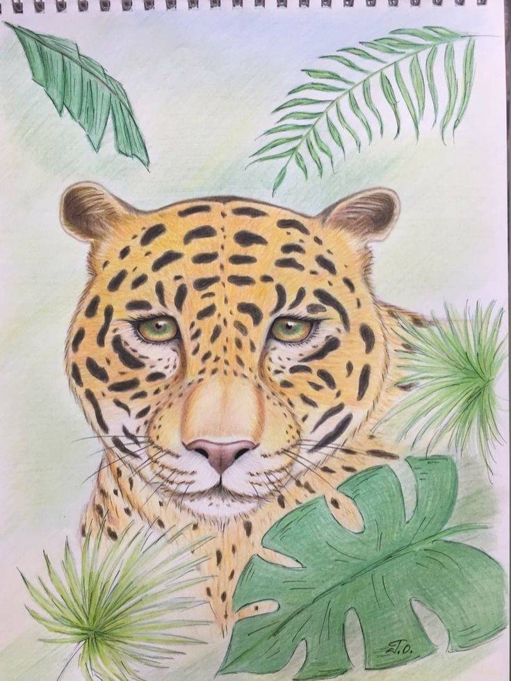Рисунок леопарда