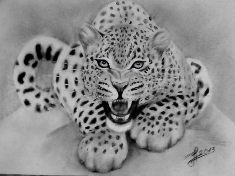 Леопард для срисовки