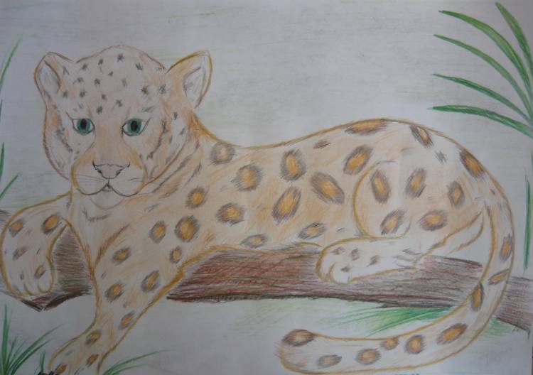 Детские рисунки леопарда