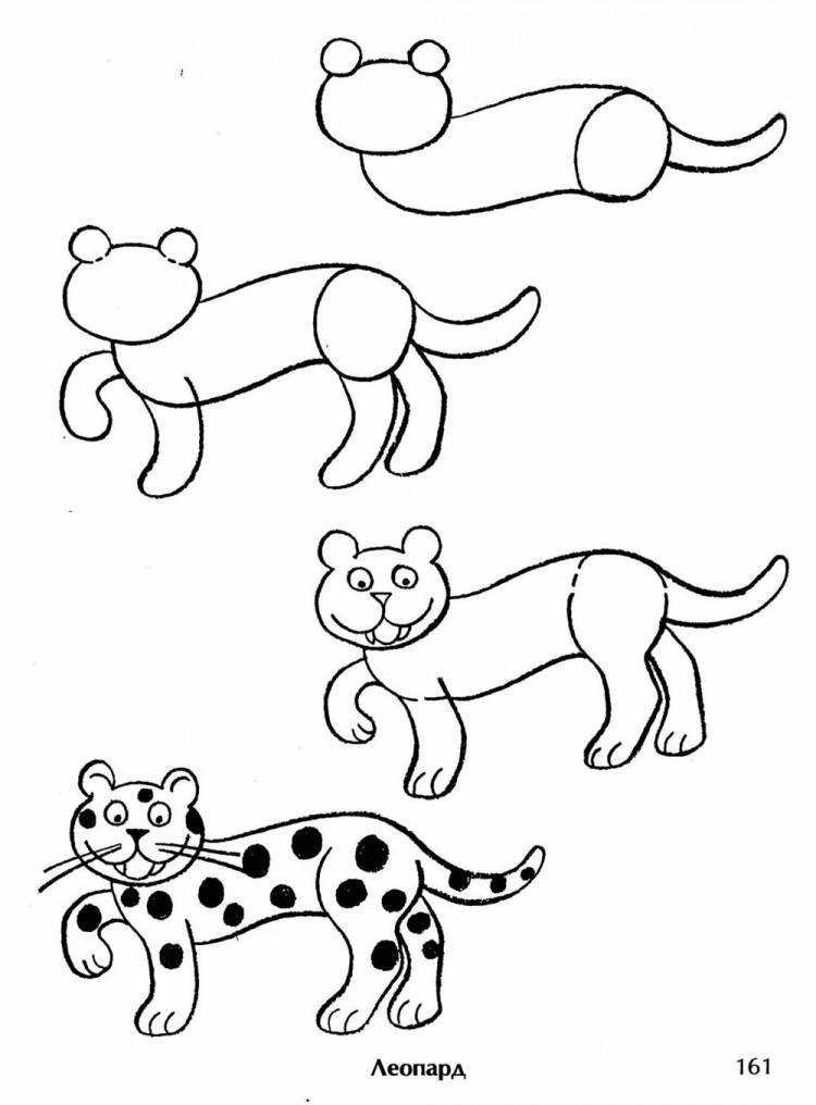 Картинки леопарда для срисовки 