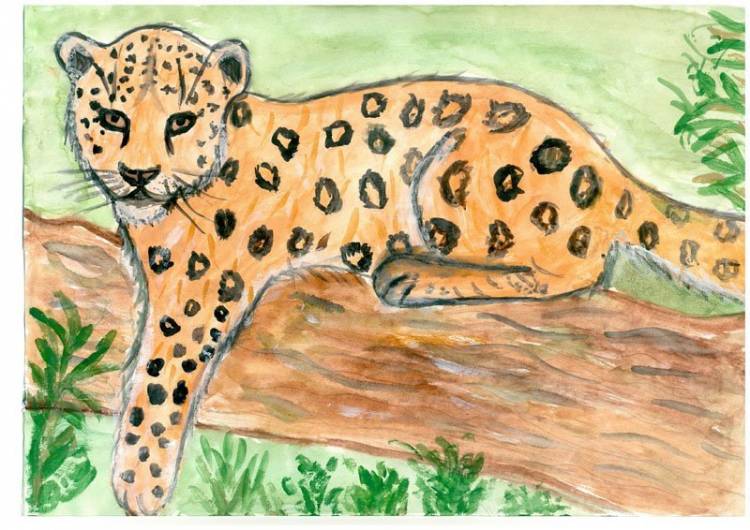 Леопард детский рисунок 