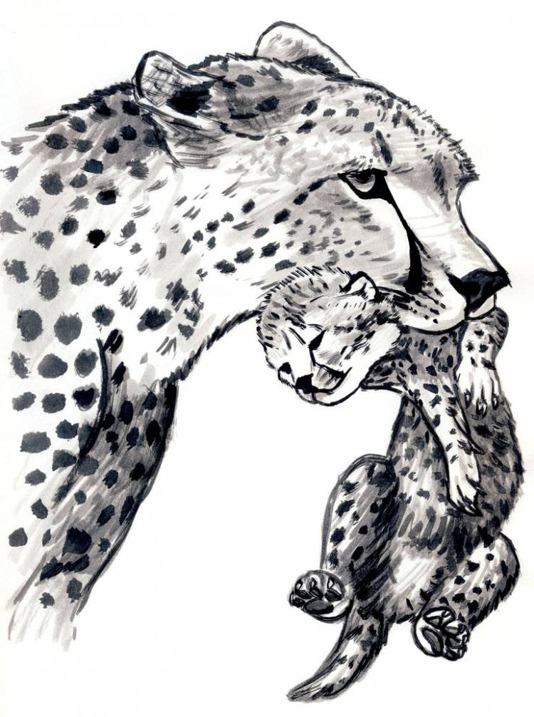Леопард рисунок карандашом