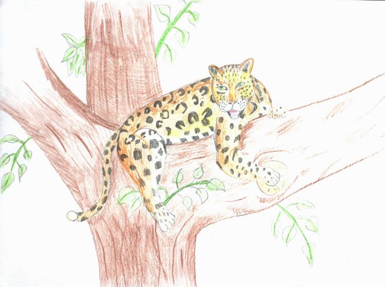 Легкий рисунок леопарда
