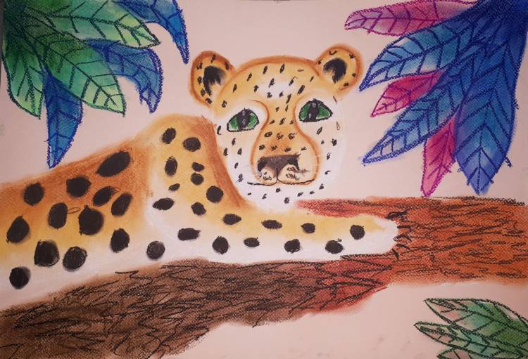 Детский рисунок леопарда (сухой пастелью) Рисование в Днепре