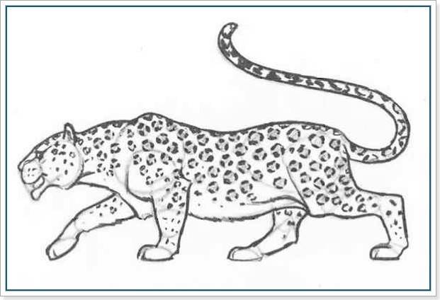 Милые рисунки гепарда для срисовки 