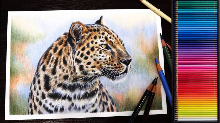 Как нарисовать леопарда цветными карандашами ТАЙМЛАПС Ускорено в