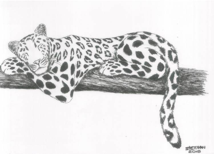 Легкий рисунок леопарда