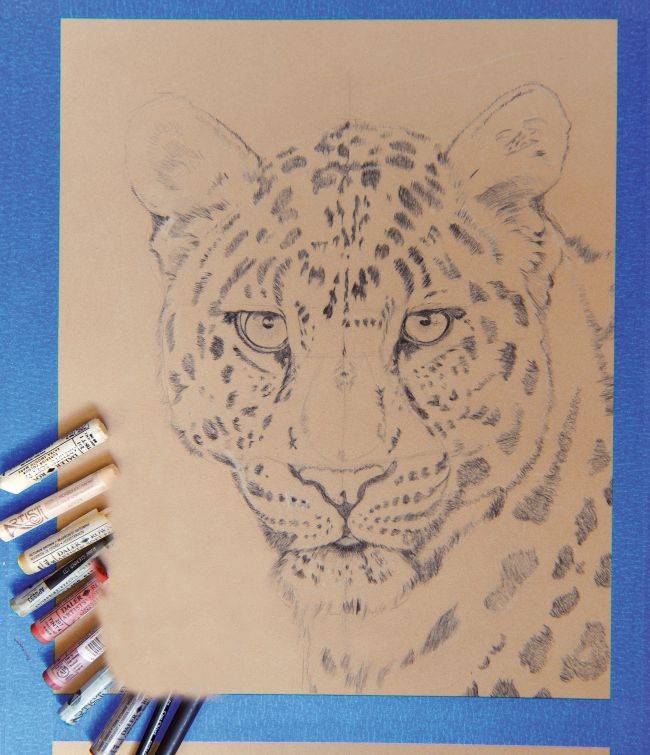 Рисуем леопарда пастелью