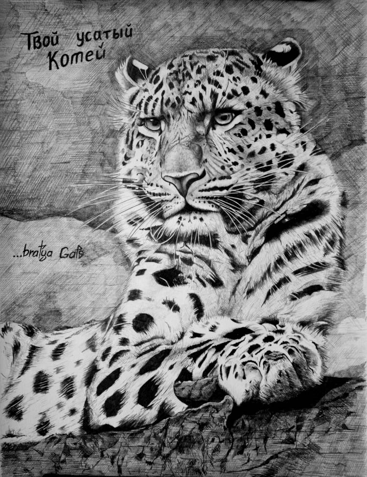 Рисунок Леопарда и Love is…