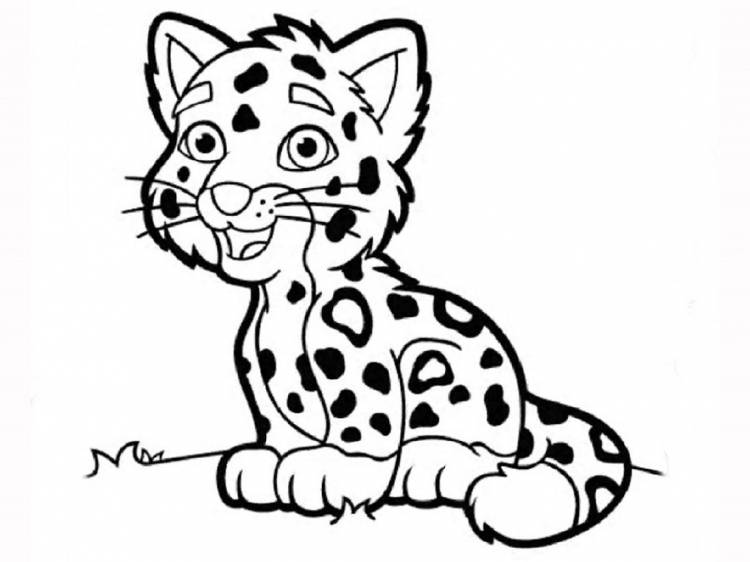 Раскраска леопардик