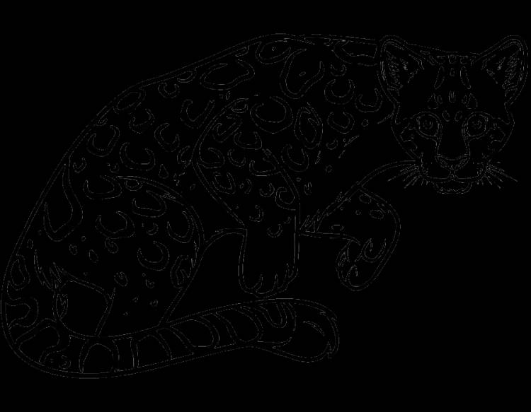 Раскраска Дальневосточный леопард распечатать, скачать, раскрасить онлайн