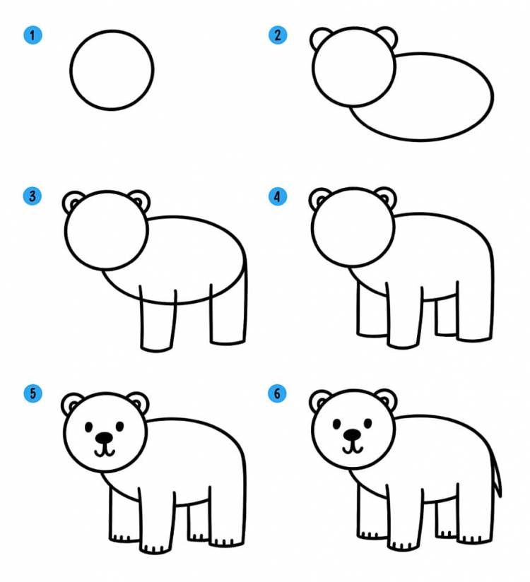 Как нарисовать (рисовать) медведя, медведицу и медвежат » Рисуем легко и поэтапно