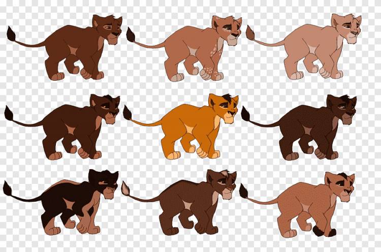 Большая кошка Млекопитающее Короля Льва, рисунки льва, png