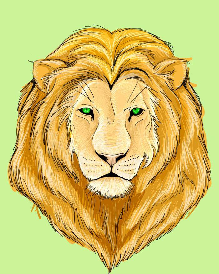 Картинки льва для срисовки карандашом
