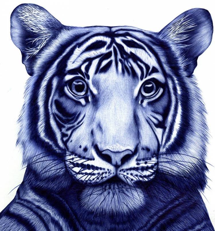 Красивые рисунки синей ручкой животные 