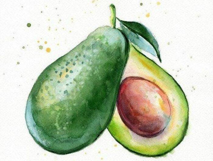 Милые рисунки авокадо для срисовки
