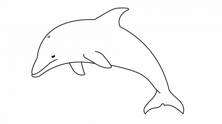 Легкий дельфин рисунок