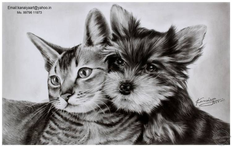 Кошка и собака рисунок карандашом
