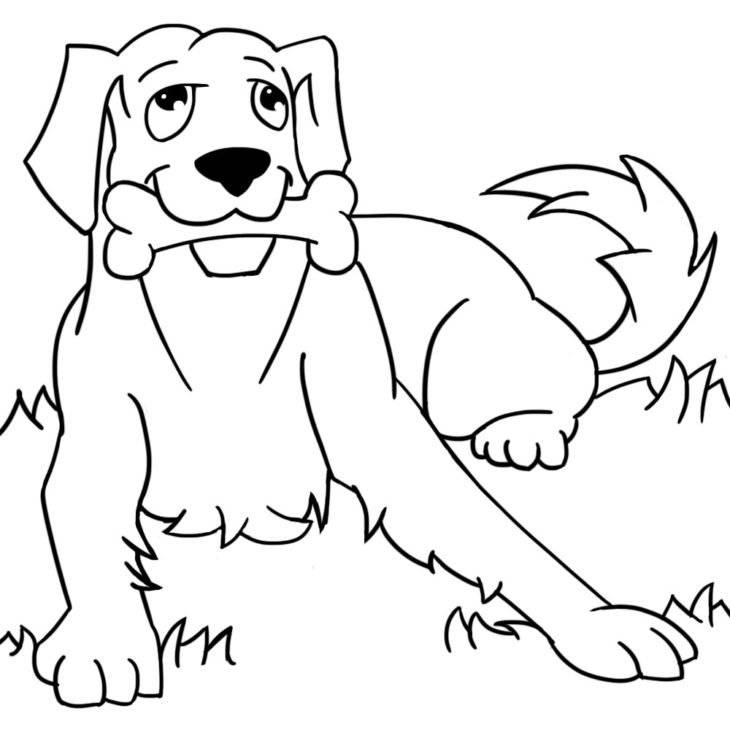 Рисунки собак для срисовки
