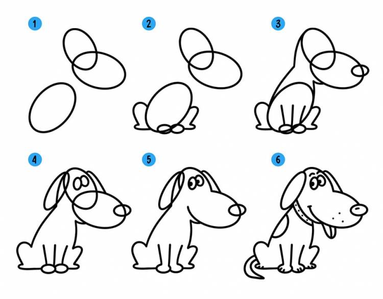 Как нарисовать собаку или щенка видео уроки для детей и начинающих » Рисуем собачек легко поэтапно карандашом и красками