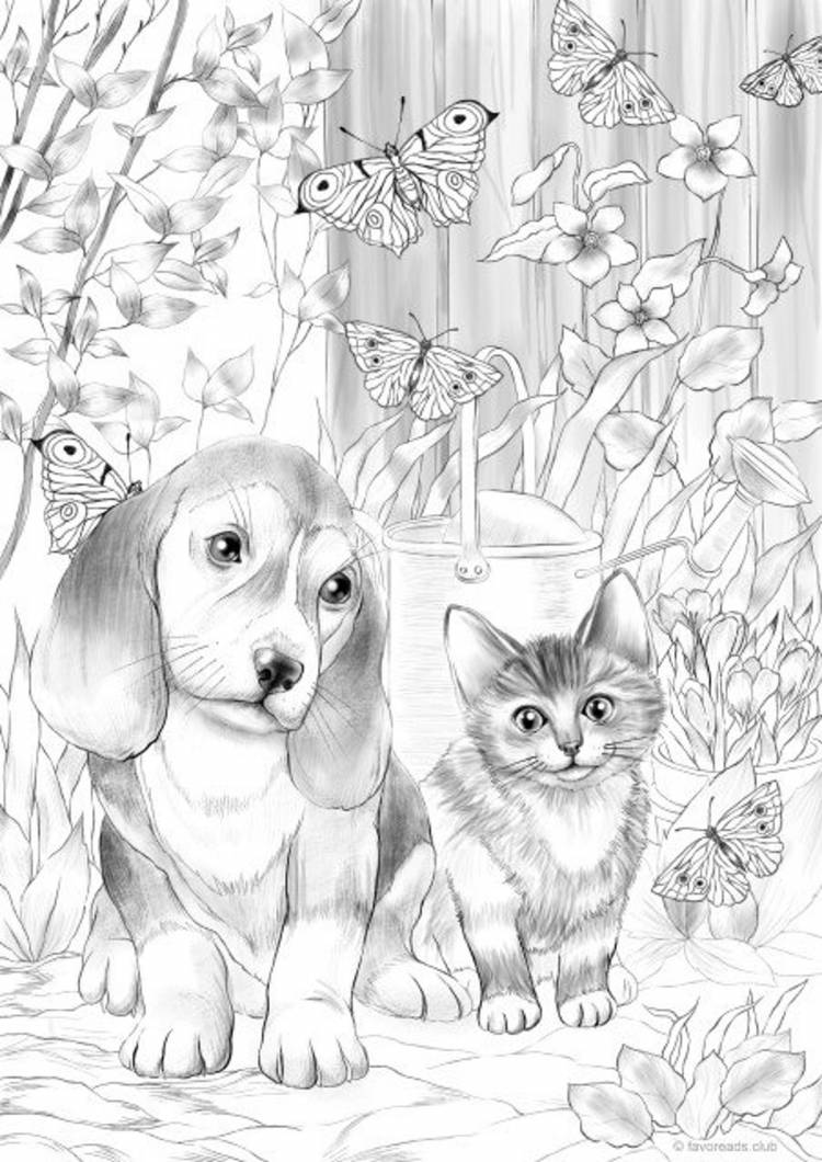 Рисунки кошек и собак карандашом для срисовки 