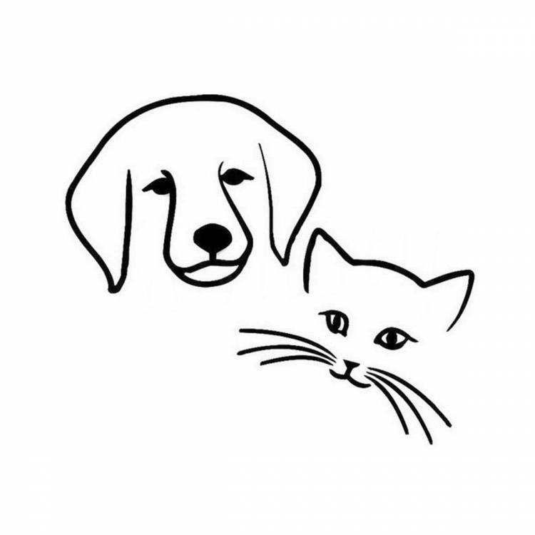 Собака и кот рисунок карандашом