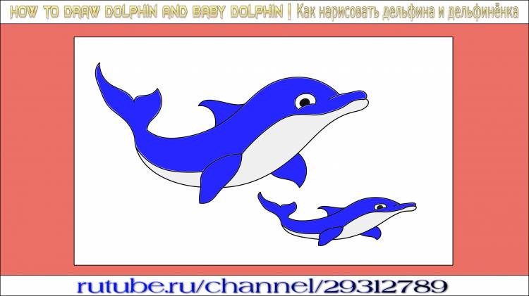 Плейлист How to Draw a Dolphin