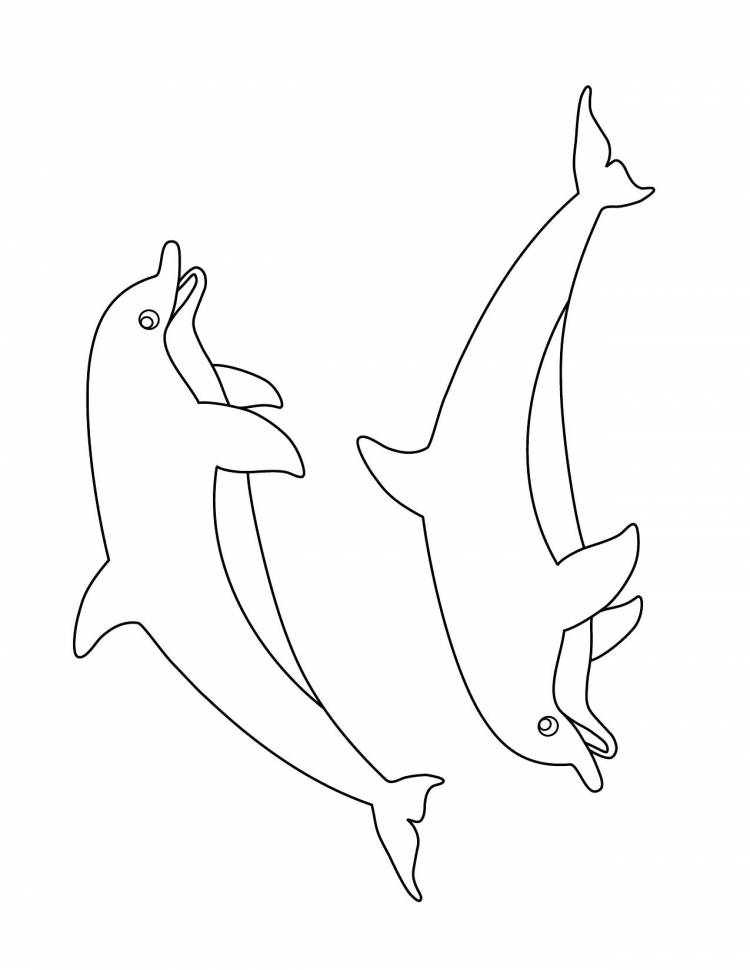 Трафарет дельфина для вырезания