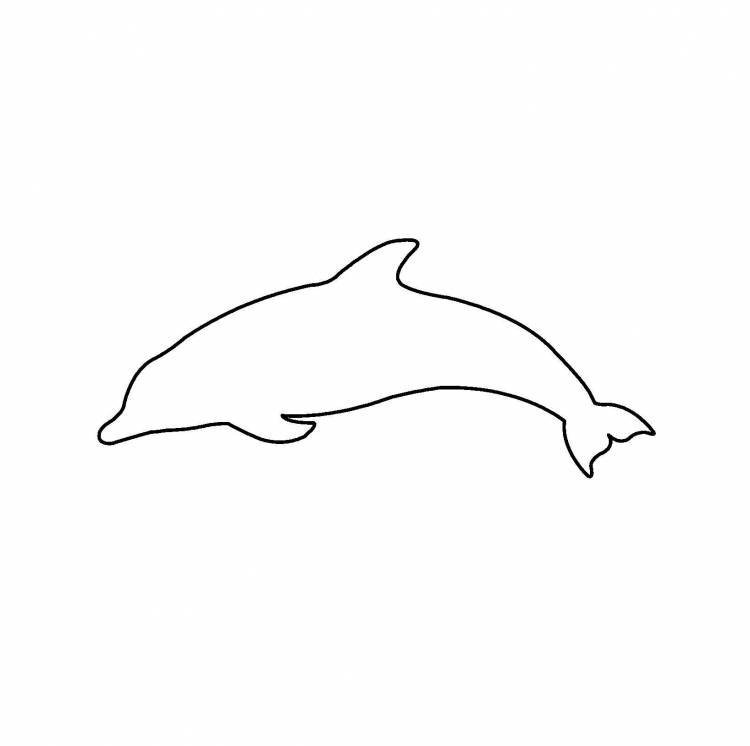 Дельфин рисунок простой 