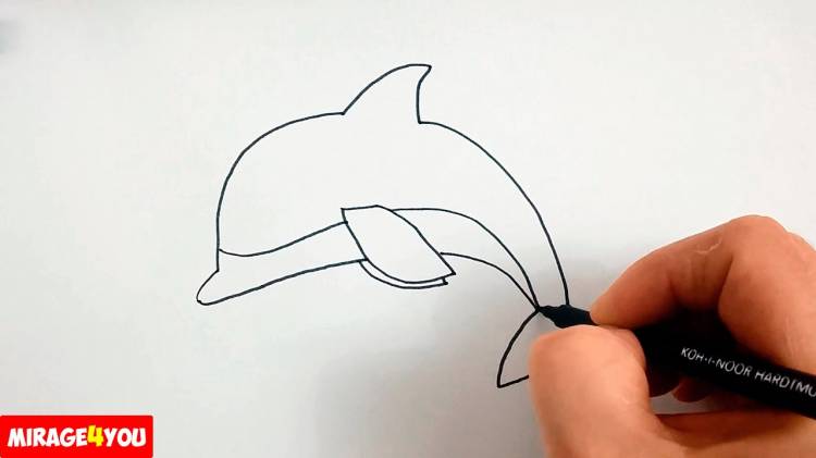 How to draw Dolphin simple and fast ✓