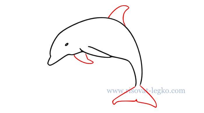 Как нарисовать дельфина поэтапно для начинающих