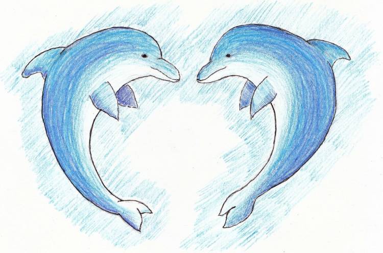 Дельфин рисунок карандашом легкий