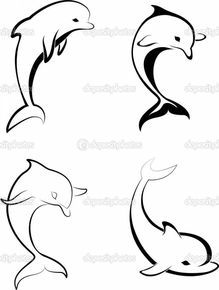 дельфины картинки нарисованные