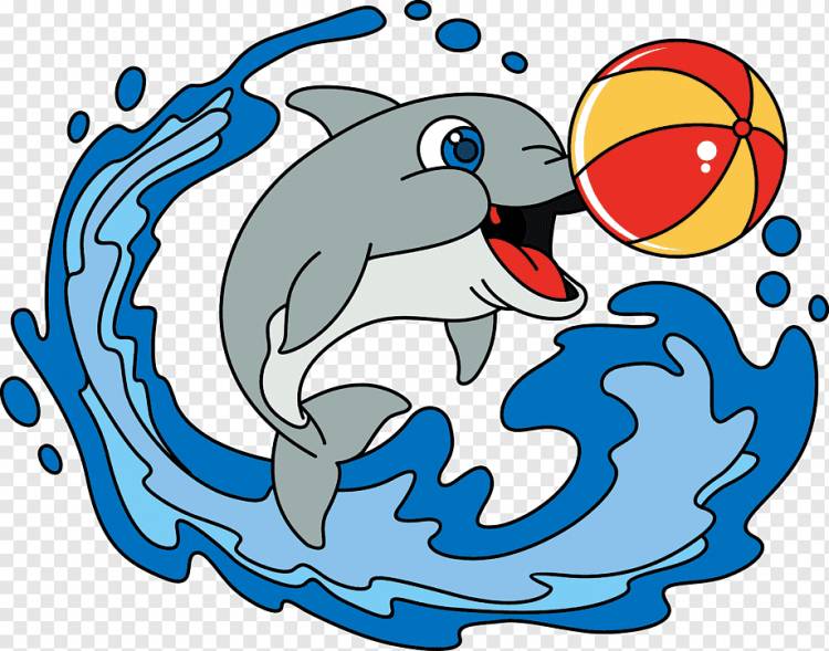 Веселый дельфин картинка 