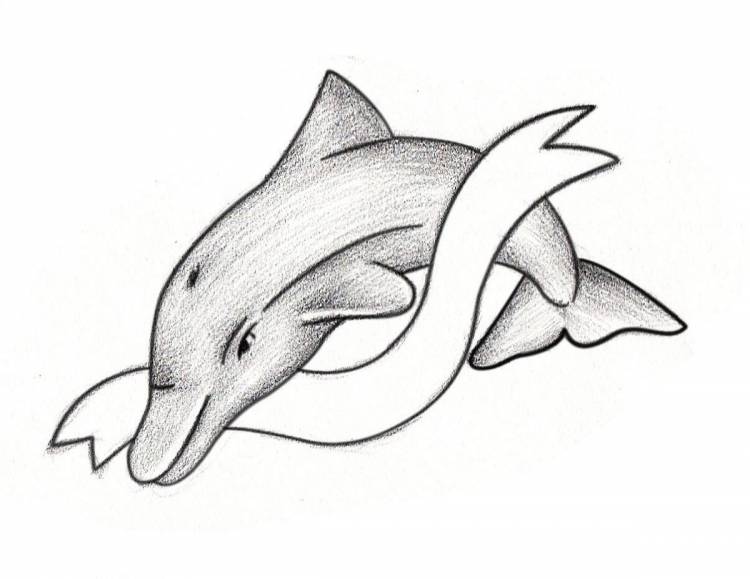 Делфин рисунок