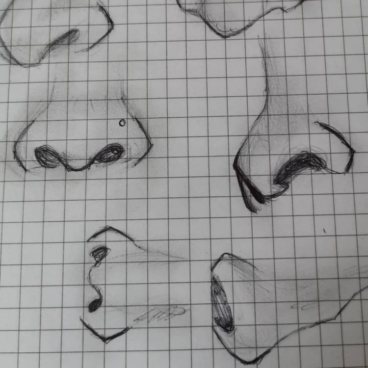 Как поэтапно нарисовать нос 