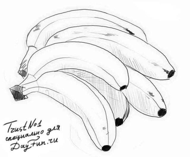 Рисунки карандашом фрукты 