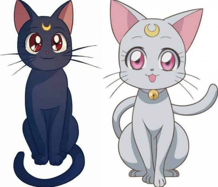 Рисунки аниме кошка 