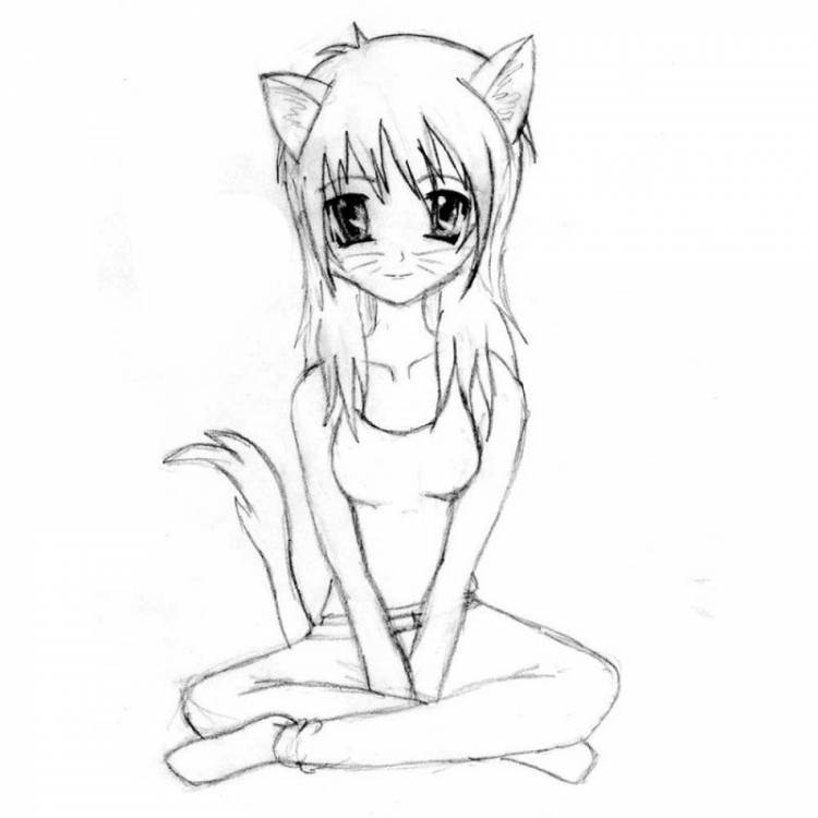 Рисунок аниме девушки кошки легкие 